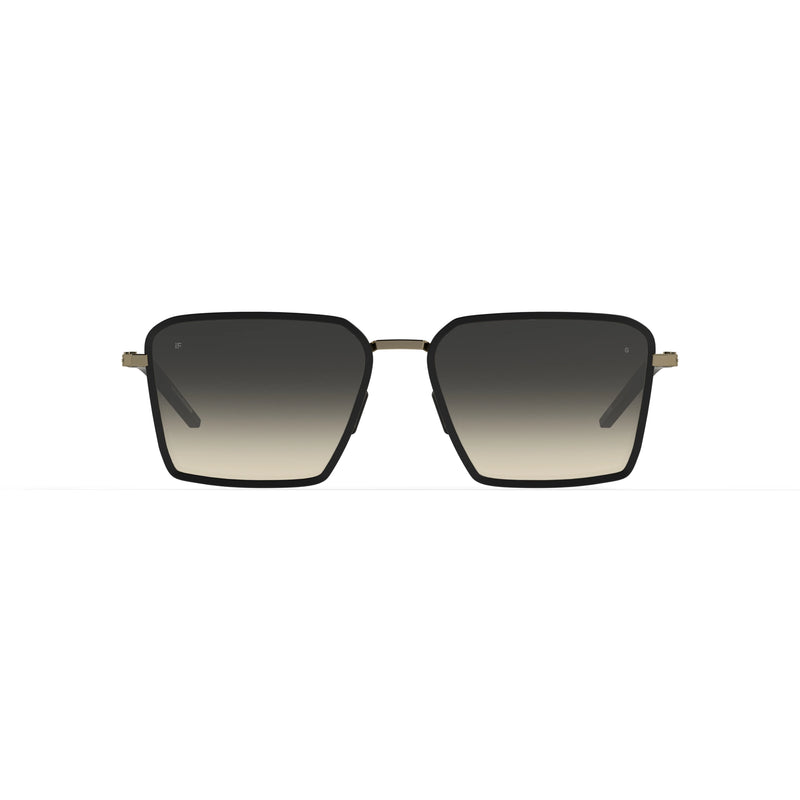 Intense Focus COALITION 22X S/BLACK,S/GOLDEN